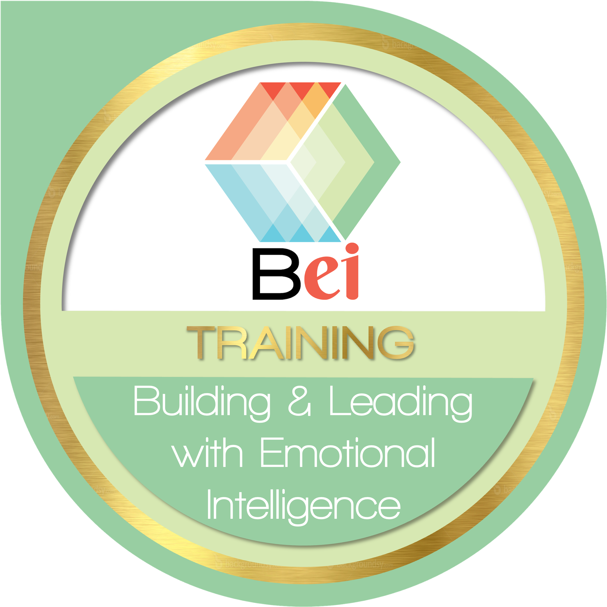 Certification Emotional Intelligence